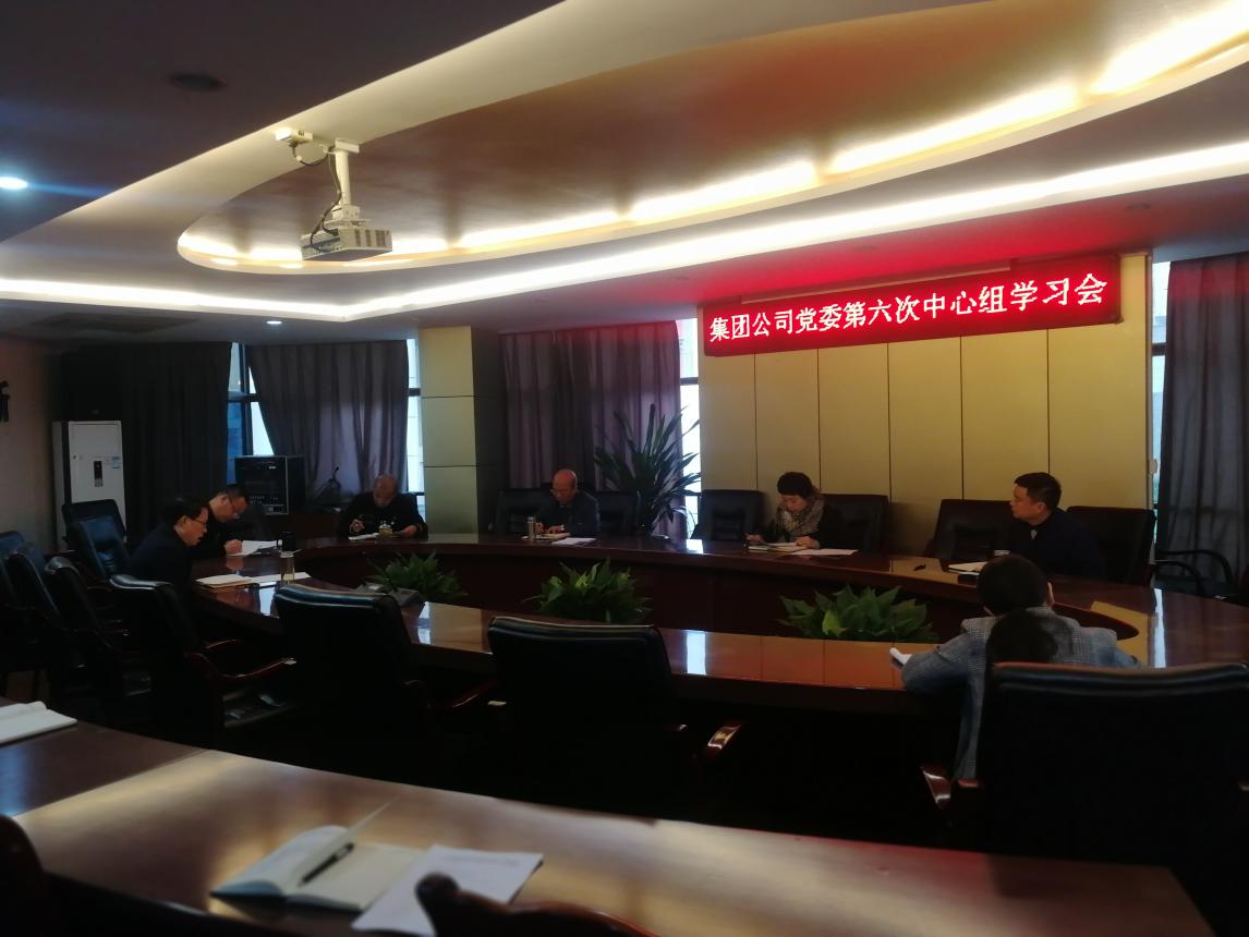 集團公司黨委學(xué)習貫徹黨的十九屆四中全會精神