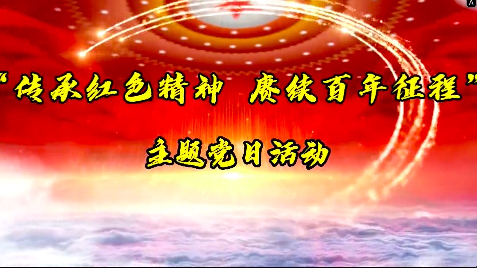 傳承紅色精神，賡續(xù)百年征程-共產(chǎn)黨員服務大隊主題黨日活動